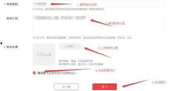 头条号如何赚钱教程视频