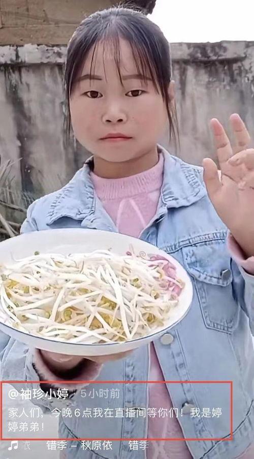 网红吃播粉,揭秘美食直播背后的秘密与魅力