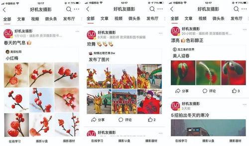 今日头条摄影比赛直播,今日头条摄影比赛直播精彩回顾