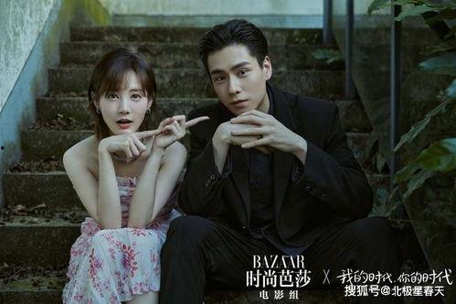 重生之我是大明星宋峥,宋峥的娱乐圈传奇之路