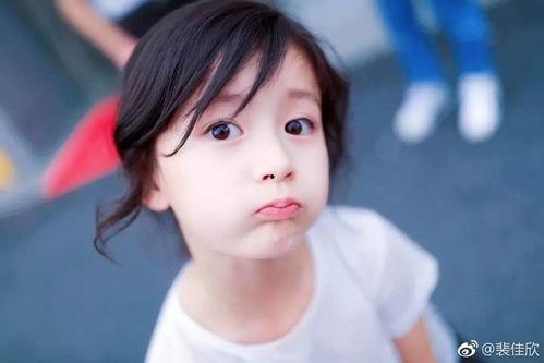 中国最美网红壁纸图片,捕捉光影之美，展现网络风采