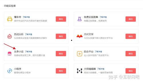 头条上如何推广视频赚钱,头条平台视频推广全解析