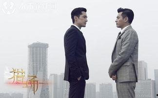 猎场 在线观看,职场精英的生存法则与情感纠葛