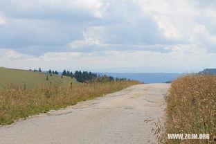 梦见在水边摘瓜吃瓜,水边摘瓜，品味瓜果之香