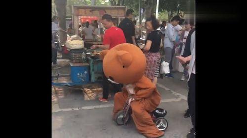 网红熊最皮视频大全,最皮熊大熊二搞笑视频大盘点