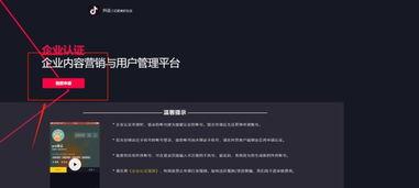 企业头条号变更,全新面貌迎接挑战与机遇