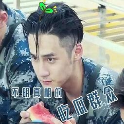 吃瓜成毅小表情,表情包背后的故事