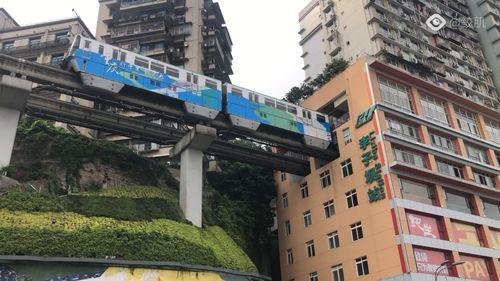 上海网红李子坝在哪里,李子坝的繁华与魅力