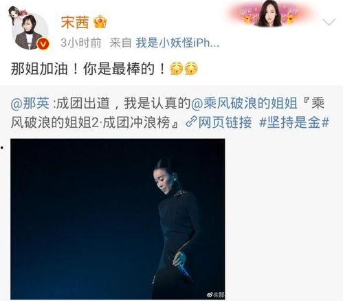 头条突破百粉太难了,揭秘社交媒体运营难题