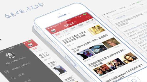 头条小店用什么订单编号,订单编号背后的秘密，轻松识别您的专属订单！”