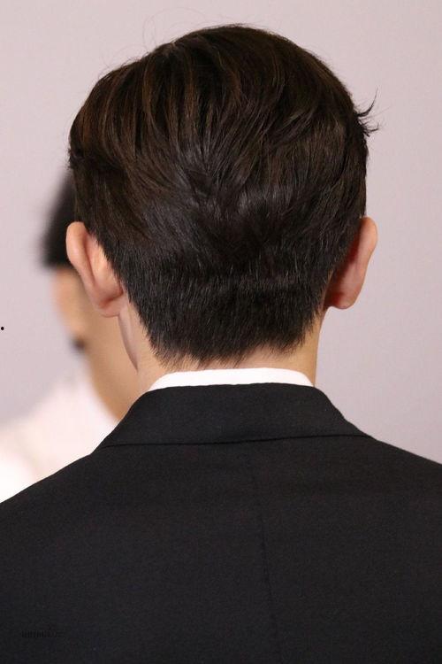 男明星后面,探寻男明星的魅力之路