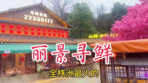 株洲网红庭院餐厅,诗意栖息，美食与美景共融的休闲胜地”