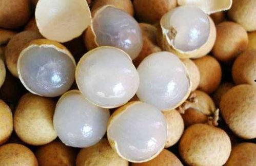 吃瓜吃果与节气的关系,探寻传统节气的美食奥秘