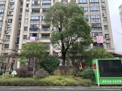 施家园最新爆料,揭秘娱乐圈惊天秘密