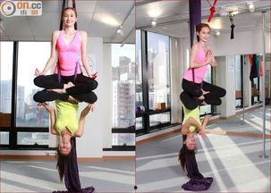 凌空明星,闪耀星空的璀璨星辰