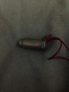 弹壳是哪位明星,揭秘弹壳与哪位巨星的不解之缘