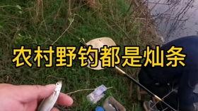 你钓鱼我吃瓜,共享钓鱼乐趣，共品生活甘甜