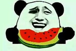 柚子吃瓜群众,揭秘网络热议背后的真相与趣味