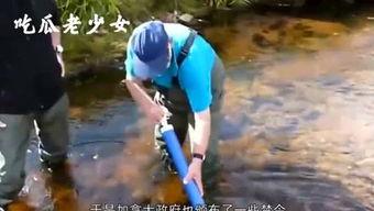 娱乐吃瓜老少女是谁啊