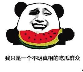 网络用语吃瓜子暗示着什么