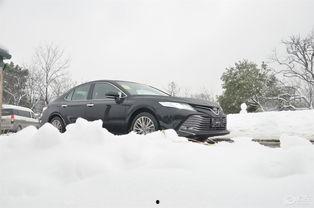 吃瓜娱乐圈camry